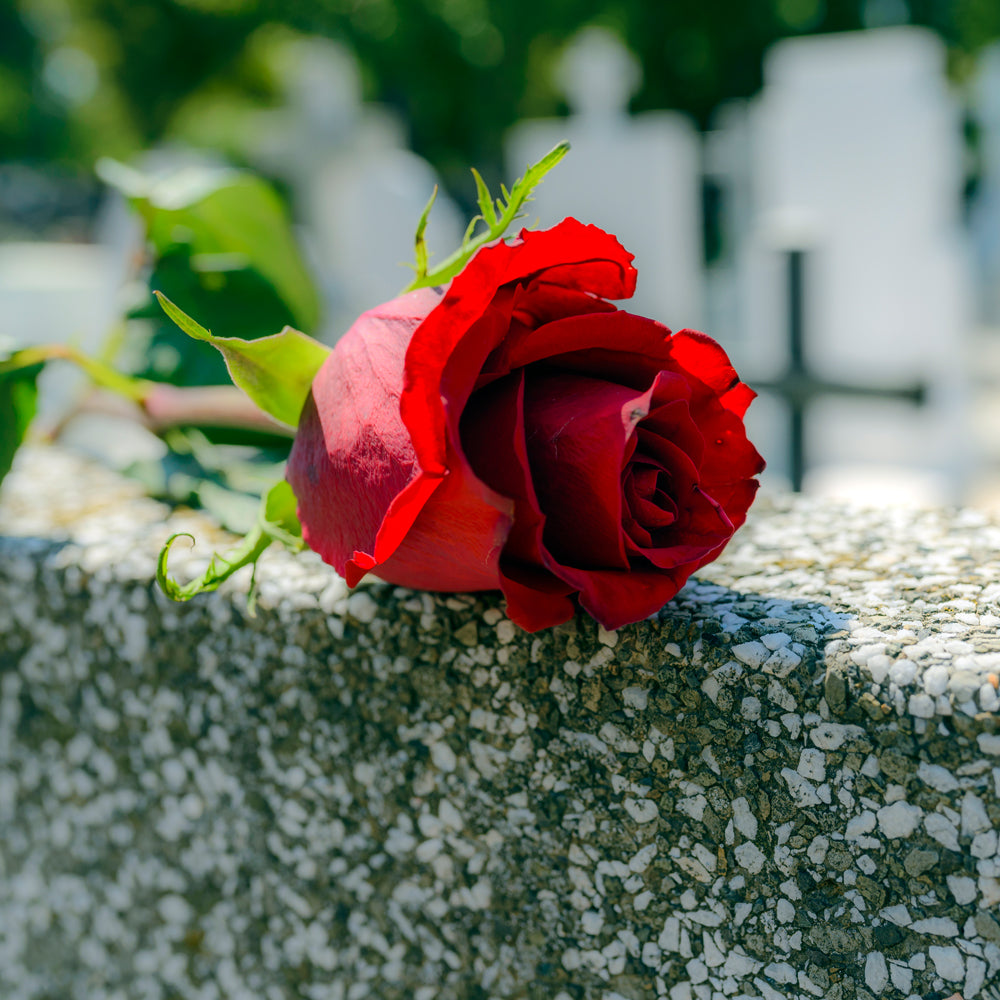 Causes of wrongful death