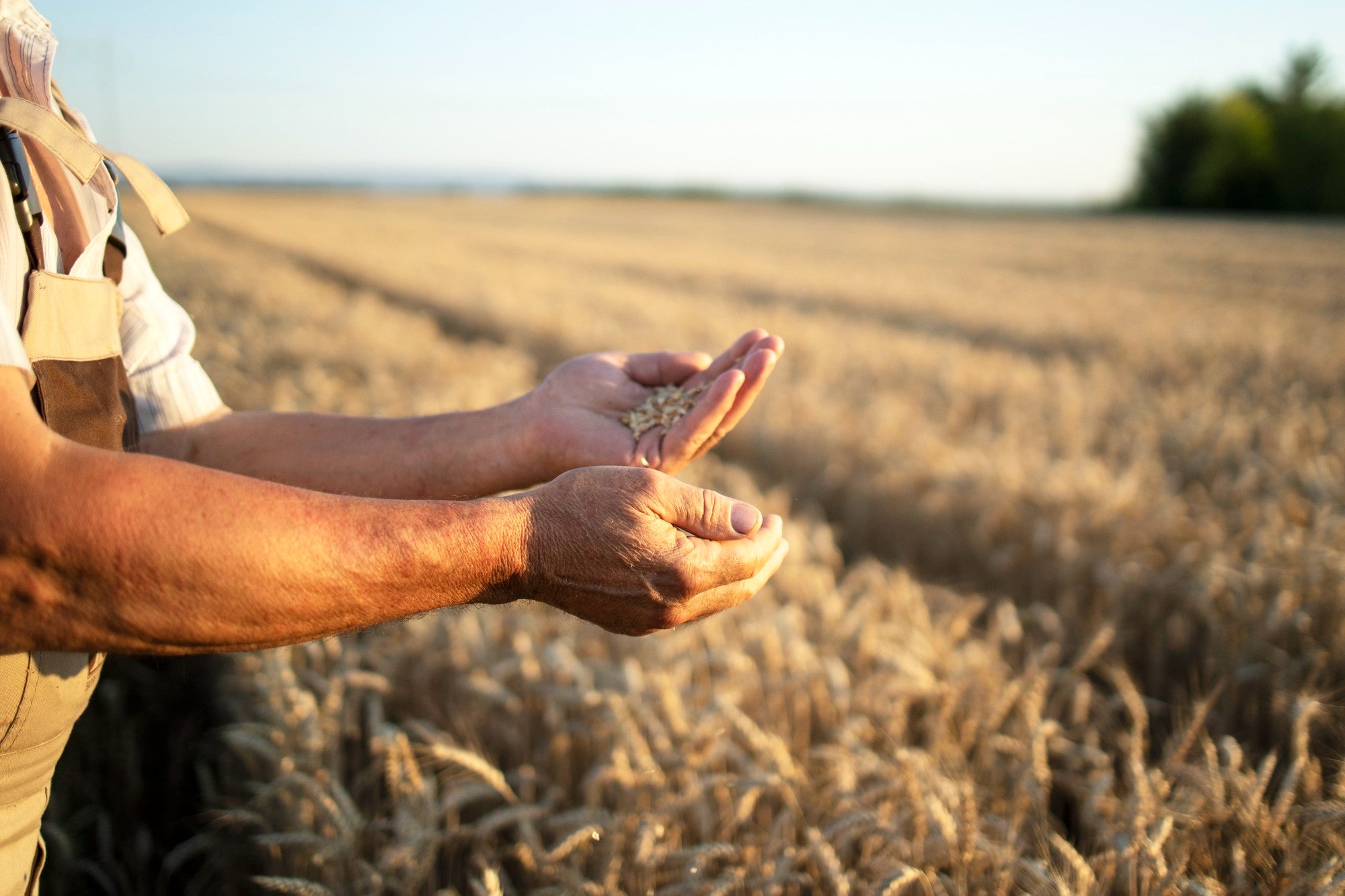 migrate farmer lawyer